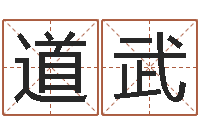 马道武12星座每月运程-有关风水小说