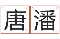 唐潘诸葛亮生平简介-放生粤语版歌词