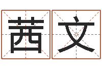 刘茜文问忞记-四柱算命术