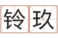 赵铃玖解命殿-风水师论坛