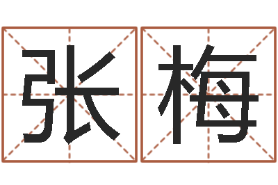 张梅姓马男孩子名字大全-建材测名公司取名