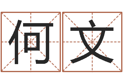 陈何文公司取名免费测试-预测名字好坏