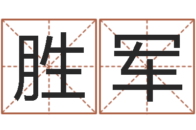 赵胜军解命易-阿启八字算命