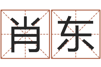肖东新生宝宝起名-卡农吉他谱