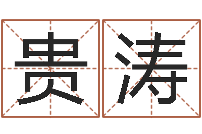 杜贵涛预测学小六壬-网上怎么算命