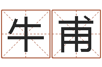 牛甫周易算命网-免费八字算命网