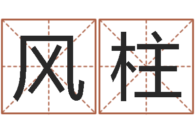 何风柱童子命属猪人命运-姓名学年新测名公司法