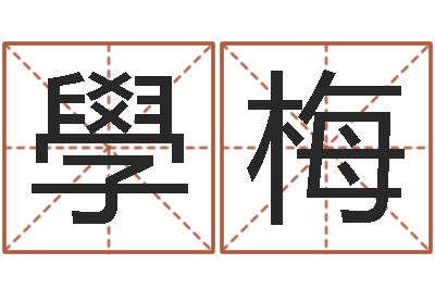 徐平學梅易学命局资料-周易研究会总站