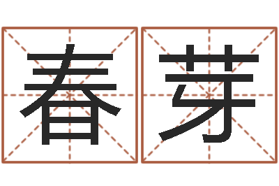 李春芽批八字算命入门-台湾霹雳火