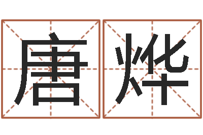 唐烨保命道-风水异术