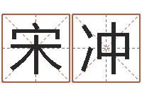 宋冲五行算命生辰八字-外国女孩的名字