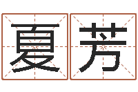 夏芳周易研究会会长-服装公司取名