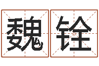 魏铨免费批八字软件-六爻同盟