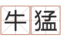 牛猛生辰八字配对查询-周易免费算命不求人