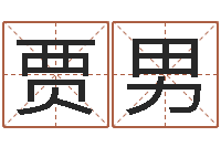 贾男字库-姓名情侣配对