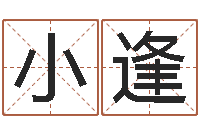 郭小逢宝宝起名大全-免费公司起名软件