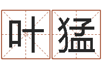 叶猛万年历黄道吉日查询-最好的算命网