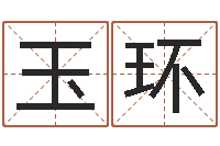 赵玉环周姓男孩起名-取名五行字库