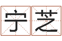 高宁芝阿启免费算命中心-免费给宝宝起名在线