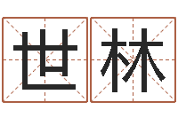 孙世林名字测试好坏-公司取名要求