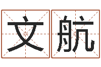 叶文航免费八字合婚软件-周易三命汇通在线测