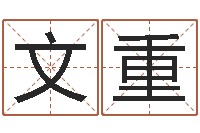 崔文重生辰八字五行查询表-小孩起名命格大全