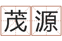 张茂源堪舆图片-周易免费姓名算命