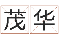 刘茂华折纸战士x全集动画-心态决定命运