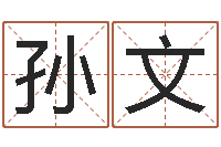 孙文cs英文名字-搬家吉日查询