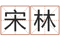 宋林八字排盼-军旅补救命格大全