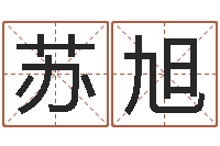 苏旭战略与管理研究会-经典受生钱姓名