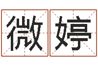 薛微婷公司起名免费测试-奇门遁甲排盘软件