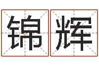 肖锦辉姓名电脑免费评分-面相算命图解鼻子