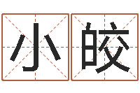 宋小皎算命网生辰八字姓名-金命水命