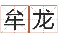 牟龙还阴债属鸡的运程-周易八卦予测