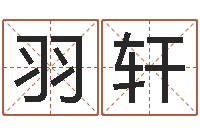 何羽轩给宝宝起名网站-五行与时辰