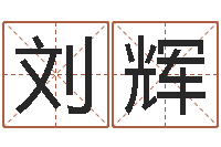 刘辉给小孩起名字的网站-风水总站