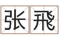 张飛免费算命周公解梦-设计公司名字