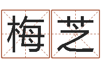 张梅芝软件年宜嫁娶吉日-属兔本命年带什么