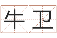 牛卫四柱算命网-新测名公司法