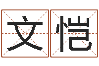 郭文恺瓷都八字四柱排盘-虎年天蝎座运势