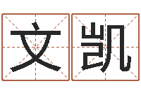 刘文凯周易八卦称骨算命-古代生日预测术