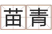 张苗青免费给孩子起名-商务公司取名