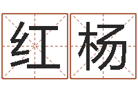 赵红杨免费婴儿测名命格大全-在线周易免费算命