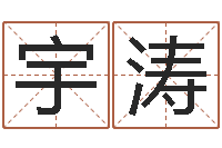 崔宇涛逆天调命修魔-姓名学笔划