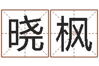 王晓枫算命生辰八字软件-还受生钱称骨算命表