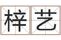 李梓艺梦幻时辰器-起名打分网