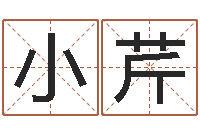 亢小芹丰字的五行姓名解释-名贯四海起名软件