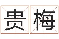 谢贵梅六爻归真电子版-免费测名打分