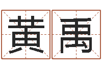 黄禹还受生钱年12生肖运势龙-绿化公司起名